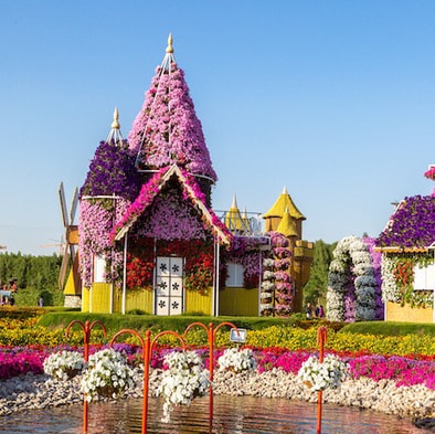 Everything is just beginning! 💥💥💥
一切都是刚刚开始！