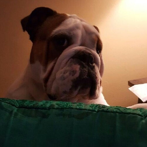 Father of my kids, loves of my life