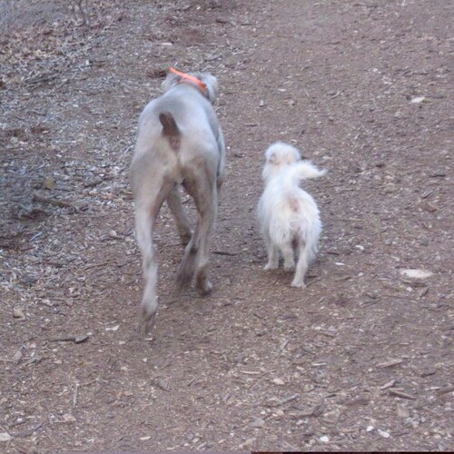 Fiscal Conservative • Passionate about my Country (U.S.A.), my state (TX), politics, animal rescue, & college football.❤...