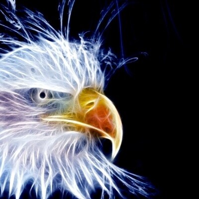 Question the Science, Question Authority,  Find The TRUTH