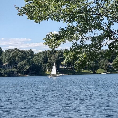 Twatter account: A glass of red please.. STOP THE FUCKERY! Live and let live.. We all want the truth