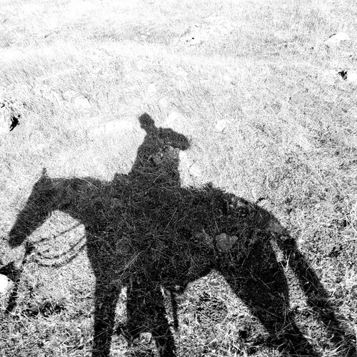 Former rockstar, amateur gyncologist, horseman.