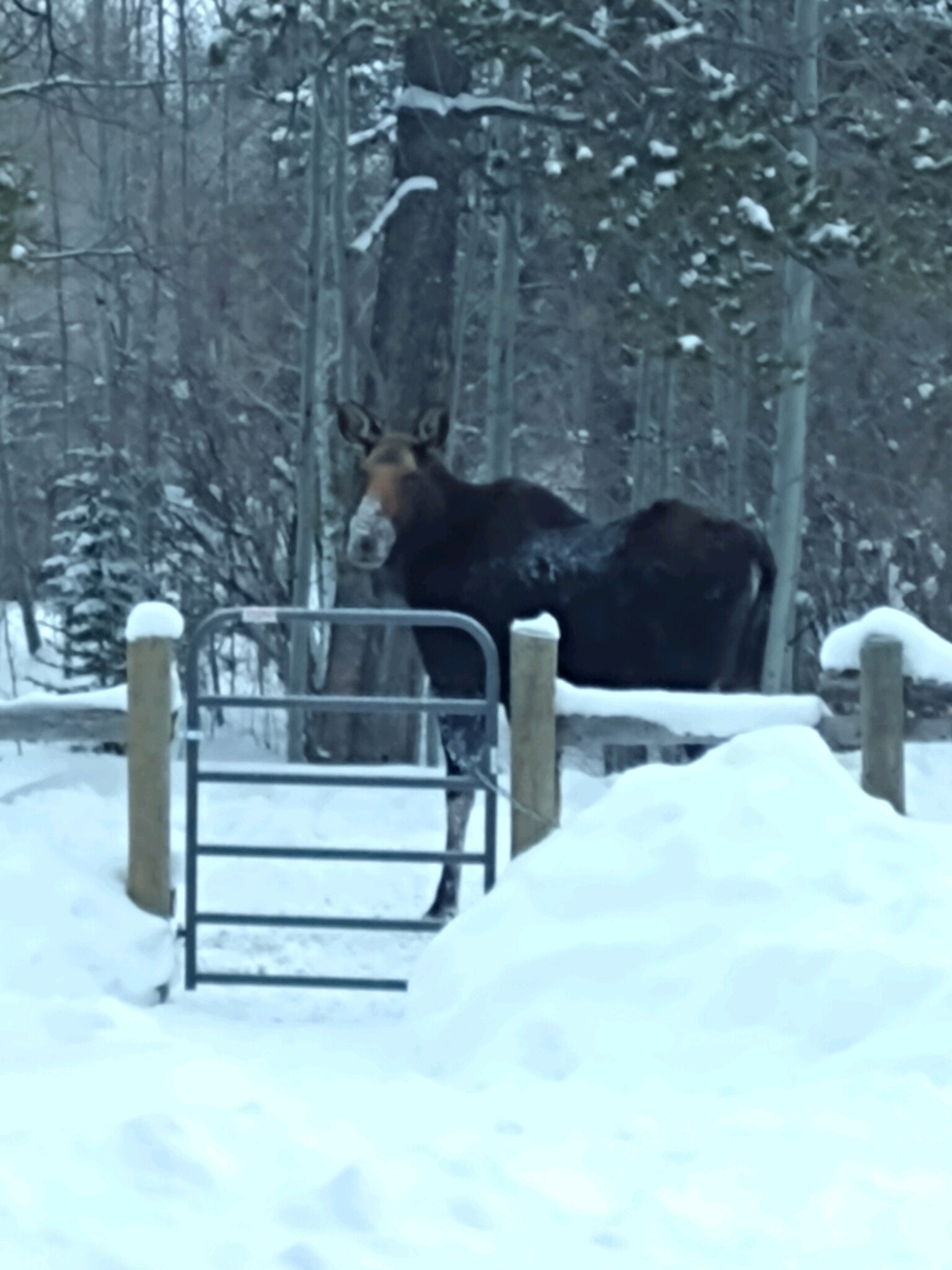 View Oceankid05's post on GETTR. Join the discussion, share your thoughts, and connect with the community.