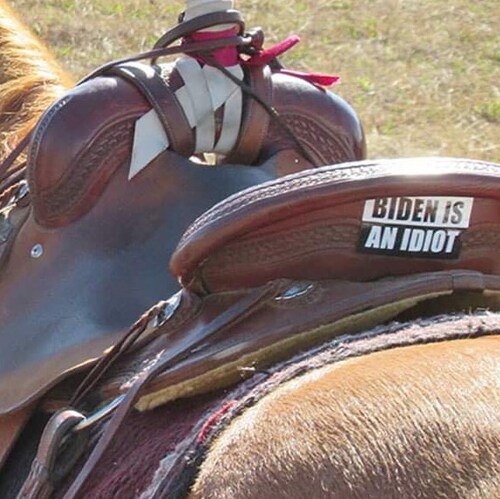 Horsegirl and Trump Girl