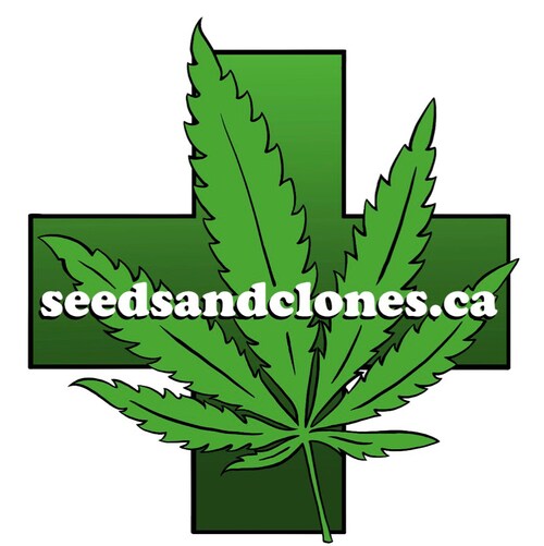 Seeds and Clones is Canada’s favourite Seedbank! Providing Seed Souvenirs Canada wide.