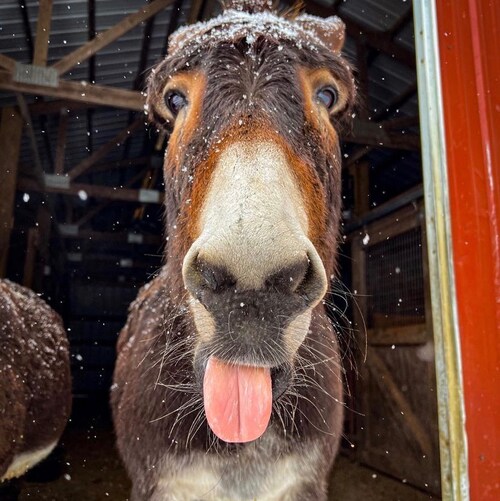 searching for the good during a difficult time in our history. I can handle the truth!