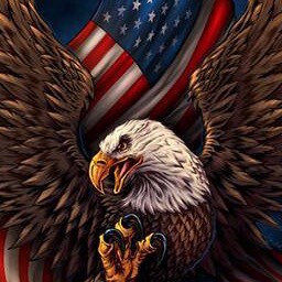 Here to support other patriots & our True President Trump 🇺🇸❤️ Texas Native