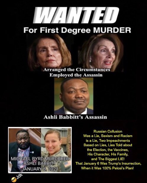 @karlyn This is the Anniversary of the MURDER of ASHLI BABBITT at the HANDS Of NANCY PELOSI’S EMPLOYEE… Who ...