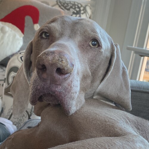 Visit jameswk's profile on GETTR. View their posts, photos, videos, and connect with them on the social platform.