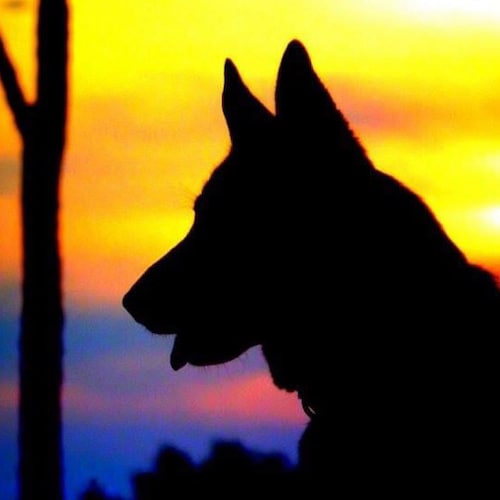 Visit karenbelcher's profile on GETTR. View their posts, photos, videos, and connect with them on the social platform.