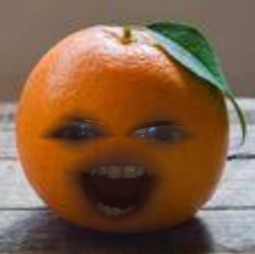 TRUMP IS MY HERO AND THE PLANETS PRESIDENT, COME JOIN THE WILD SIDE 🇬🇧 BOTS & LIBERALS NEED NOT APPLY I CAN SMELL YOU ...