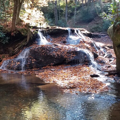 Visit GoodHope1's profile on GETTR. View their posts, photos, videos, and connect with them on the social platform.