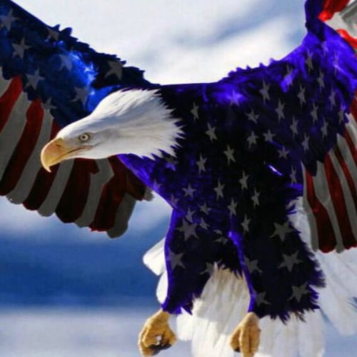 Constitutional conservative, Traditional Catholic, MAGA, optimist