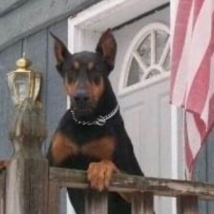 Visit messkinz7's profile on GETTR. View their posts, photos, videos, and connect with them on the social platform.