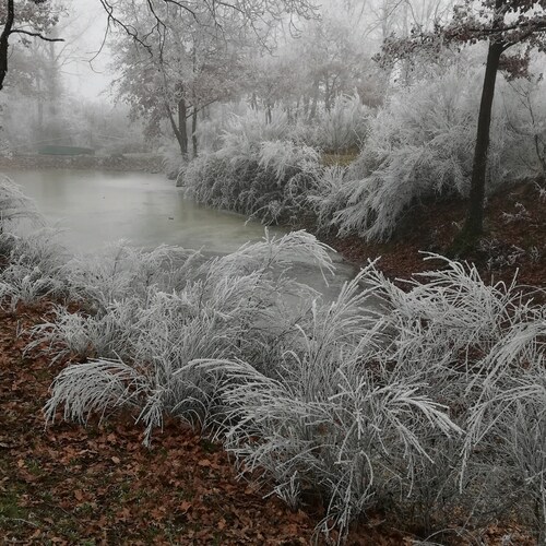 Visit bib36370's profile on GETTR. View their posts, photos, videos, and connect with them on the social platform.