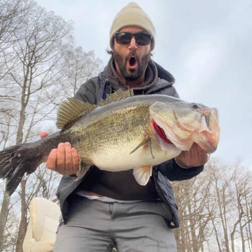 LETS GO BRANDON
BASS SLAYER
WASHINGTON FOOTBALL
BAMA FOOTBALL 
🇺🇸🇺🇸🇺🇸🇺🇸🇺🇸