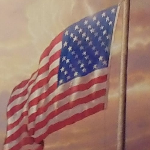 Free and Fair Elections are essential for American Democracy. We need a government that works for the people, not agains...