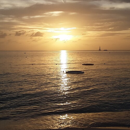 Visit 1workingmom's profile on GETTR. View their posts, photos, videos, and connect with them on the social platform.