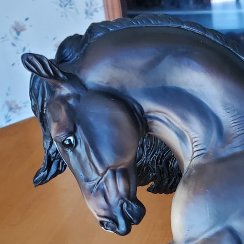 Horse trainer Artist Mom & Wife.