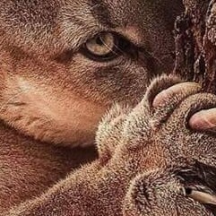 Visit niredneckgirl's profile on GETTR. View their posts, photos, videos, and connect with them on the social platform.