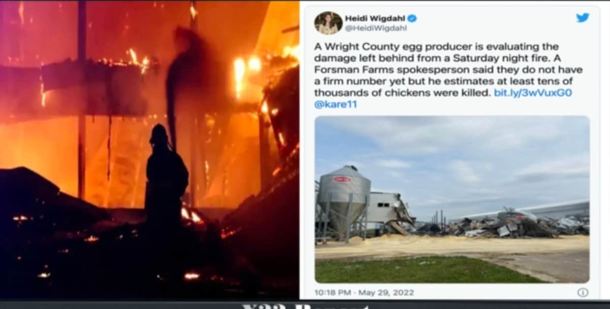 We had strange Fires destroying Food Processing Plants and even aircraft flying in to them, just lik...