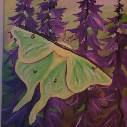 Grandma first!  IT specialist for 30 years, HOT TIP, they're cheating! 🍊🍊🍊🍊🍊

Ethics & morals MUST ALWAYS GUIDE t...