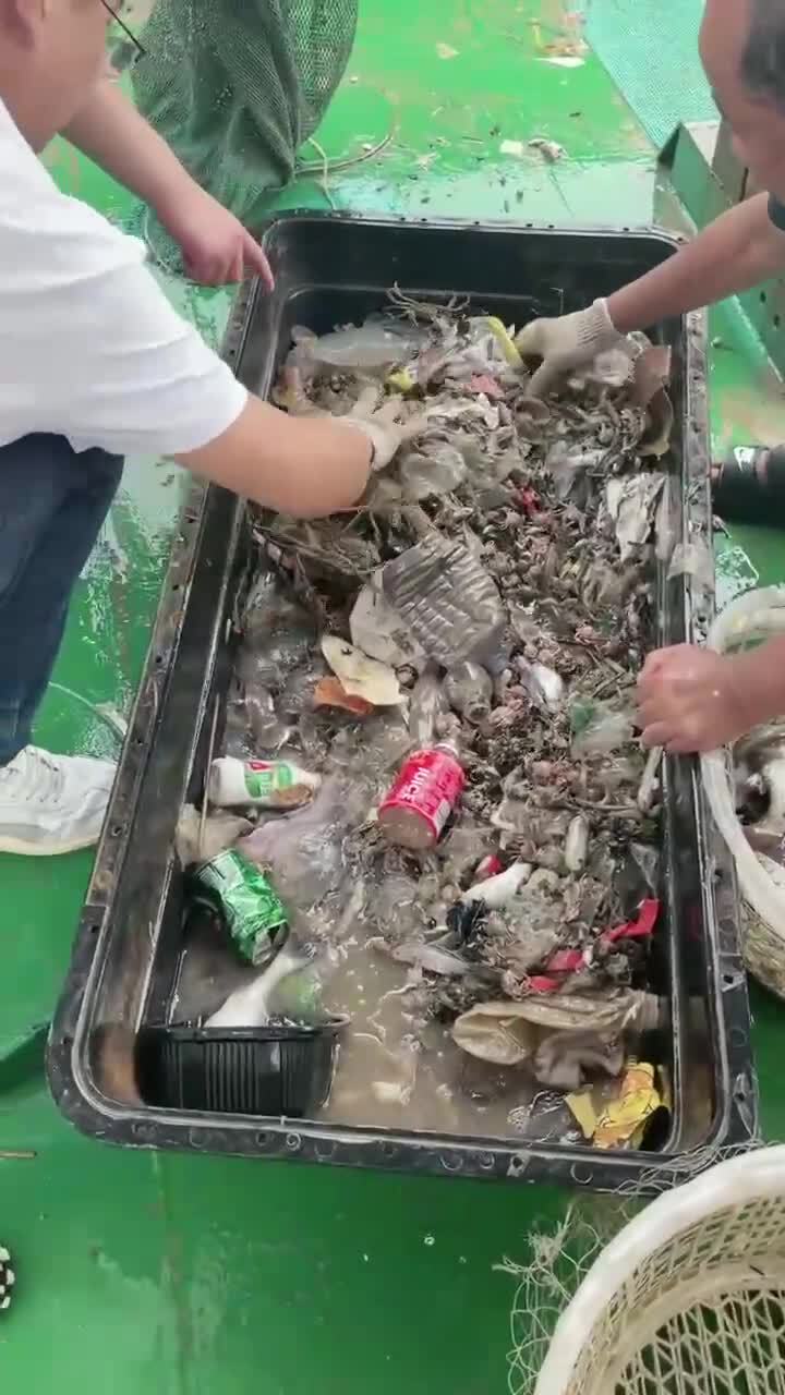 中共国的海洋被污染的全是垃圾，加上大量的工业有毒废水排入大海，鱼虾基本绝迹 #环境恶化 