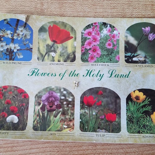 I have 3 brothers and 5 sisters.  Cathy and I are married 53 years.