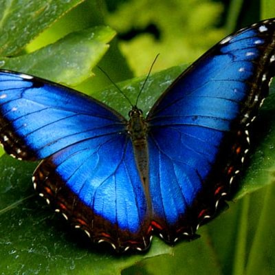 @mattgaetz @RepAndyBiggsAZ @MTG4America @realpaulgosar @RepGregSteube @RepDonaldsPress @RepYvette @j...