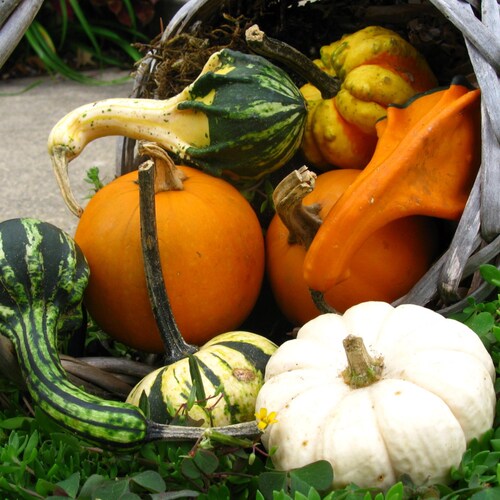 any jewelry loving people? check out my daughter's business https://maddesigns-shop.myshopify.com/