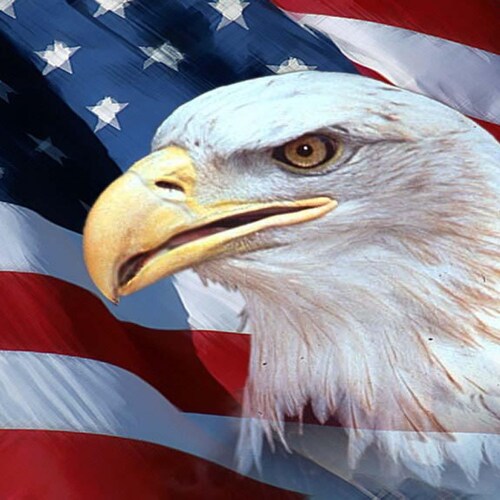 conservative wife and mom: Trump won💙Back our police💙