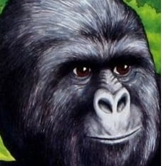 Patriot -- Parent -- Troll
   Heavily Sarcastic