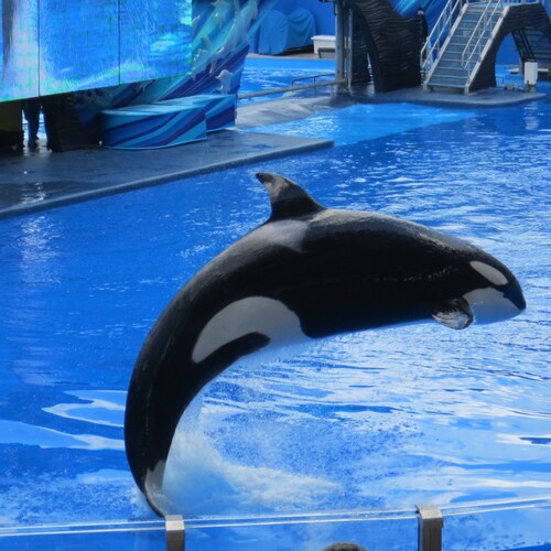 Interests - Liberty, Medical Autonomy, Stocks, Crypto and Politics.