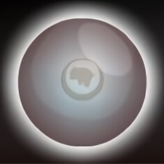 Time flys so spend it wisely