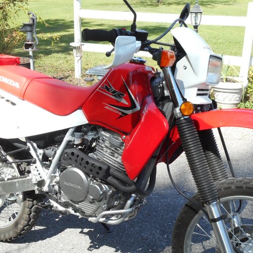 Old Angry White Man, Gator Navy. Beirut '83   MGTOW, NO Gold-diggers