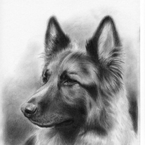 Just a Fly in the ointment; a Watcher on the Wall.