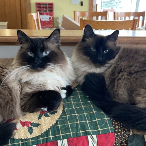 "Don't make fun of my tech skills, remember I taught you to use a spoon."