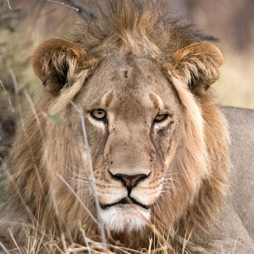 United We Stand,  Divided We Fall 
'Betrayal never comes from your enemy, it comes from people you have faith in.'