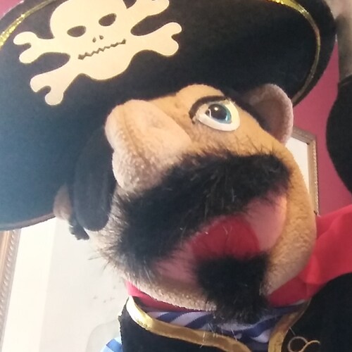 Strange days require constant vigilance. The pirate flag says it all.