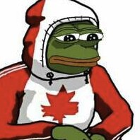 canuck, patriot, shitposter. digital soldier, old school anon. 50 bans from twitter. like a true champ. ;) 

51. couple more phone numbers and i'll make it 53.