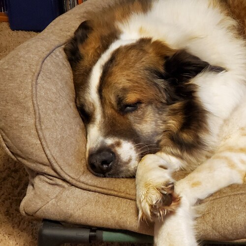 Just 9% of law professors are conservative: A new study conducted by professors from Georgetown Univ...