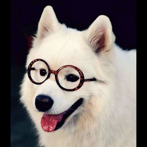 Visit 识真辨恶's profile on GETTR. View their posts, photos, videos, and connect with them on the social platform.