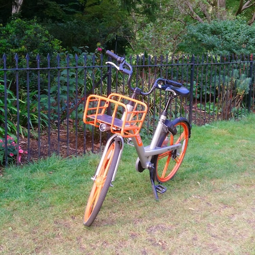 QMAY:

❗️重要信号

美国防部顾问对张又侠的评价：
有学识！有视野！可沟通！

通美灭共！以共灭共！