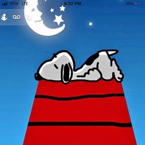 Trump Won, Patriot, Digital soldier, WWG1WGA