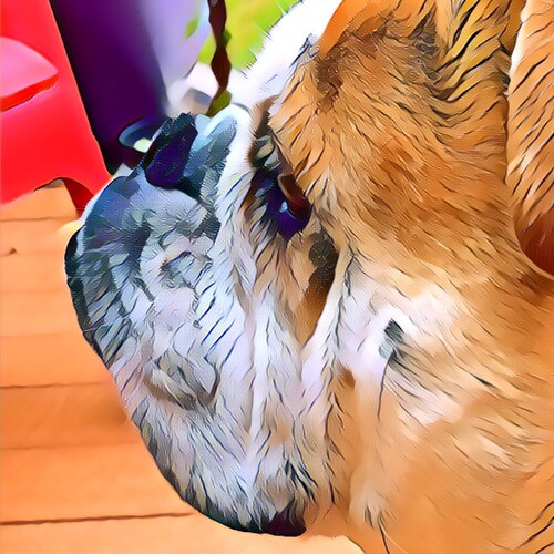 Proud Wyoming redneck. Trump it up. Liberals are a disease.