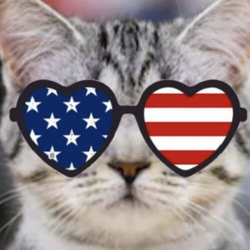🇺🇲 Patriotic American/Nationalist-Populist           
🇺🇲 If you don't believe that the USA is the greatest nation in history you are ungrateful