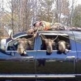 Army ,2A,1A, constitution conservative, family, GOD.