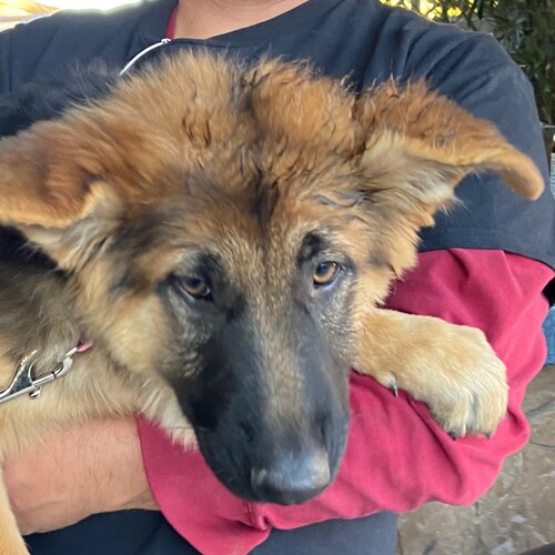 Looking to escape Twitter censorship, government oppression, and media lies.