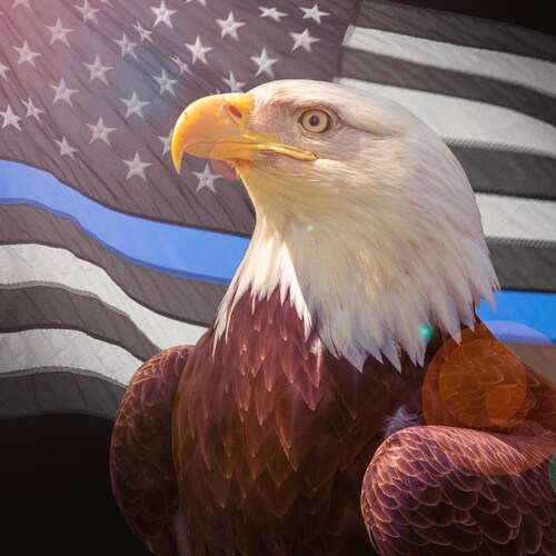🇺🇸 Proud American • Pro-life • MAGA • Save America • America First • Support President Trump • Support our military • Back the blue • God Bless the USA 🇺🇸