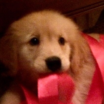 Celebrating Americans who love our country, Retired law enforcement, #DeSantis2024